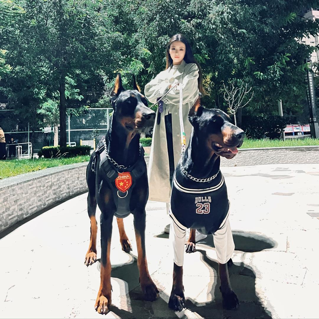 杜宾十八&Nika