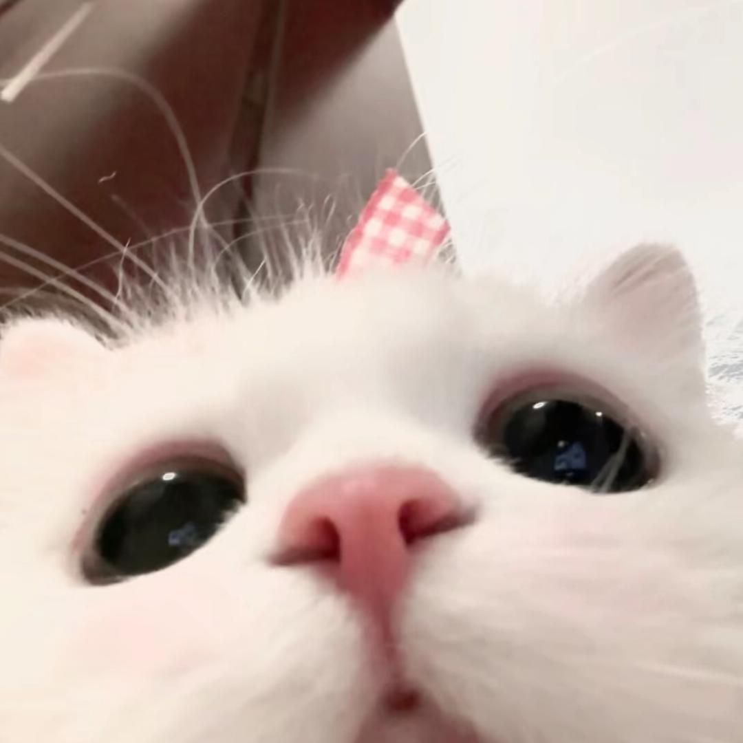 惠子