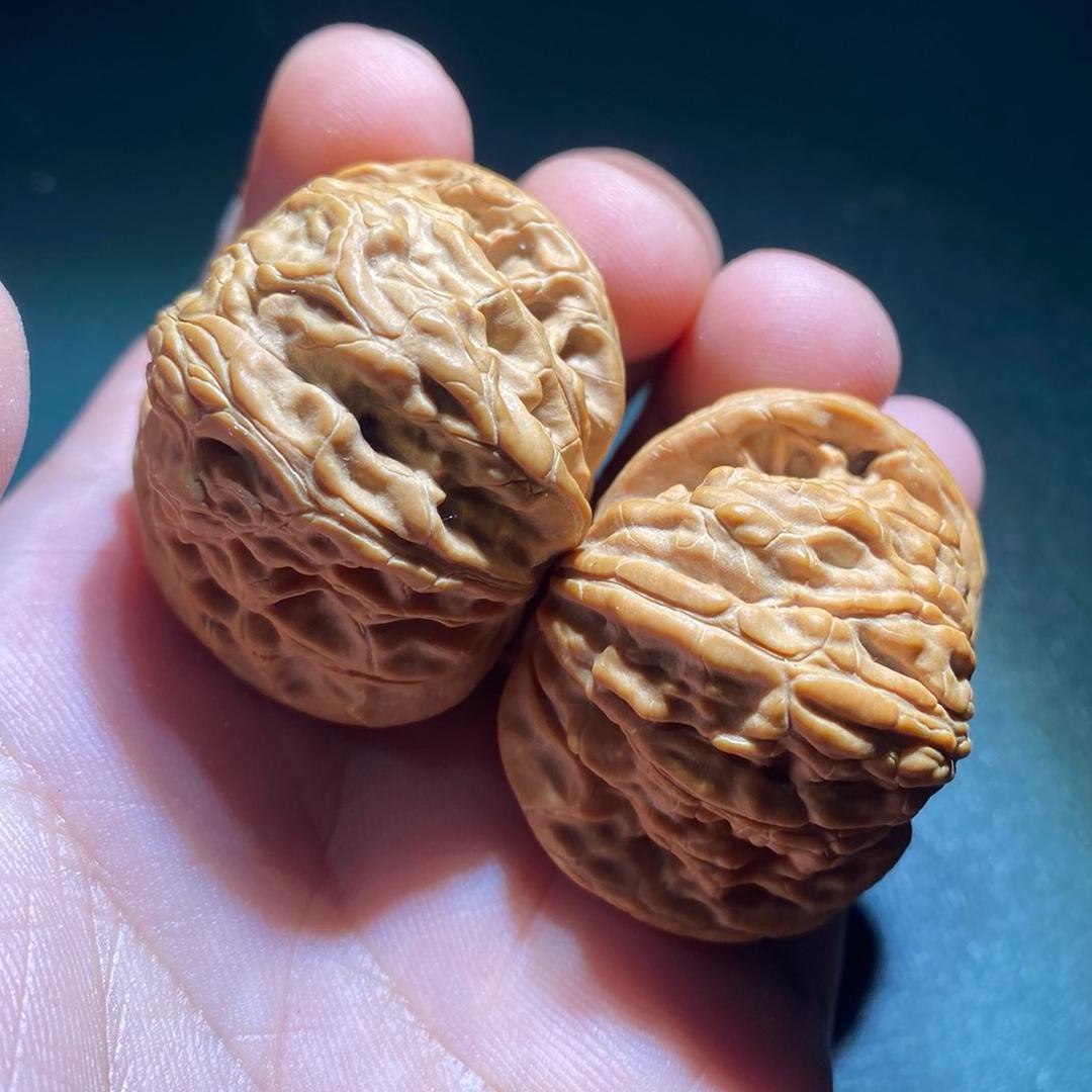 蛋蛋文玩
