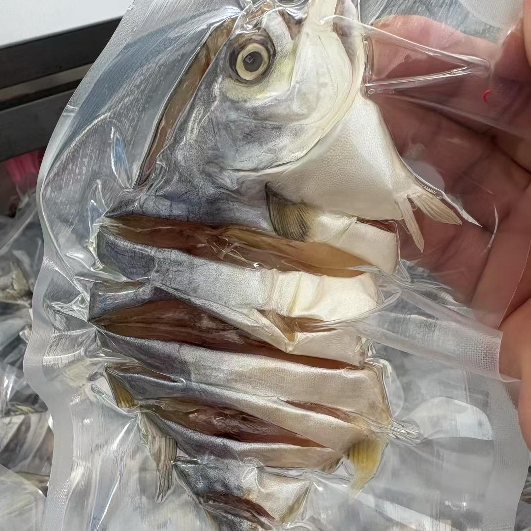 阳江联荣鱼仓