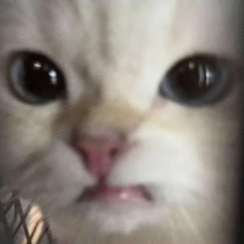 小温严选