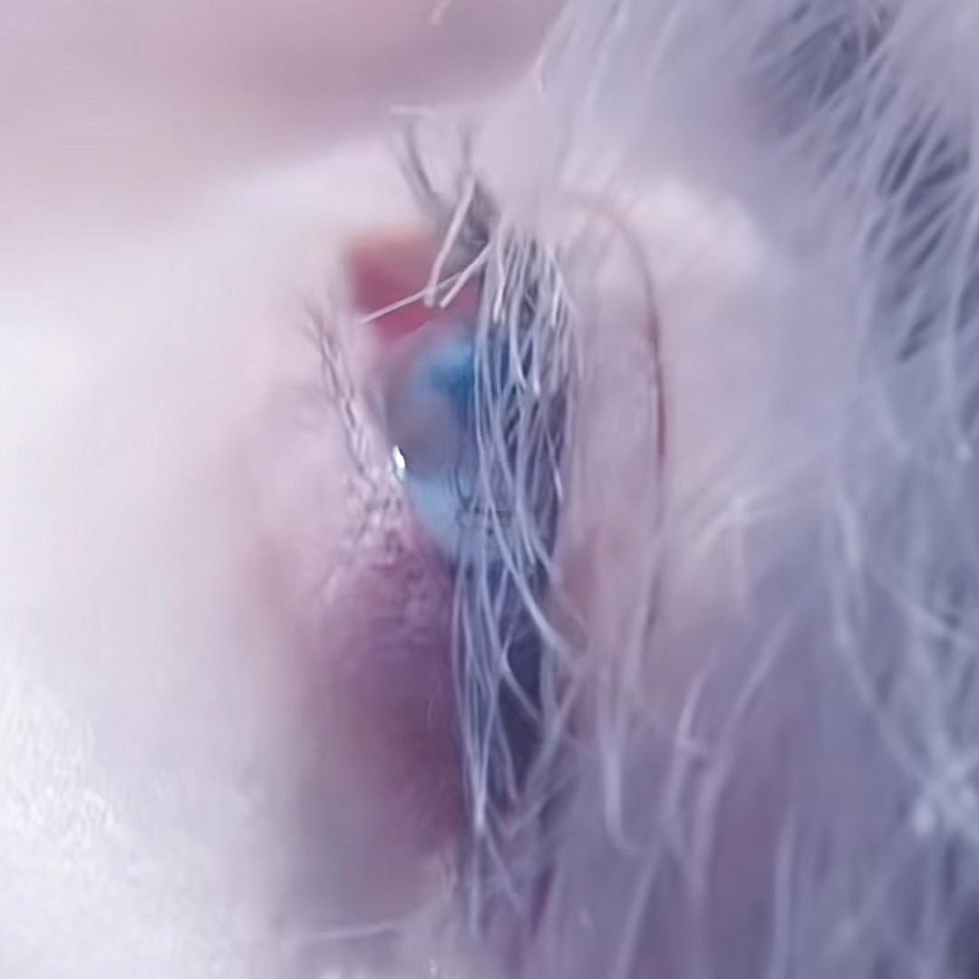 补药再熬夜了🍒