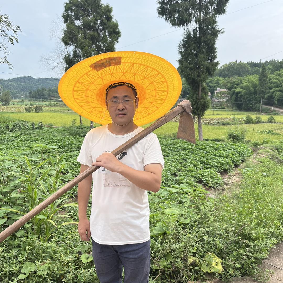 贵哥回村记