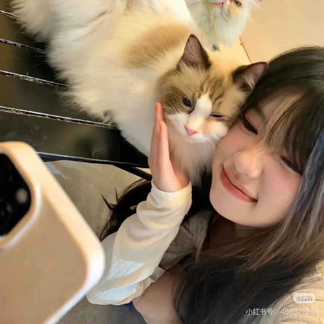 江川奈美绪