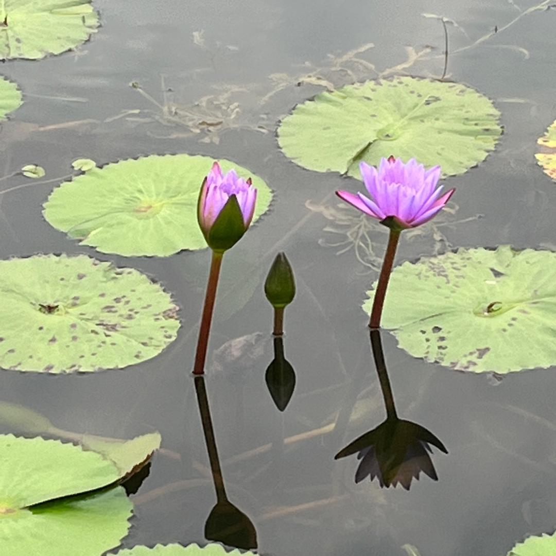 平平淡淡