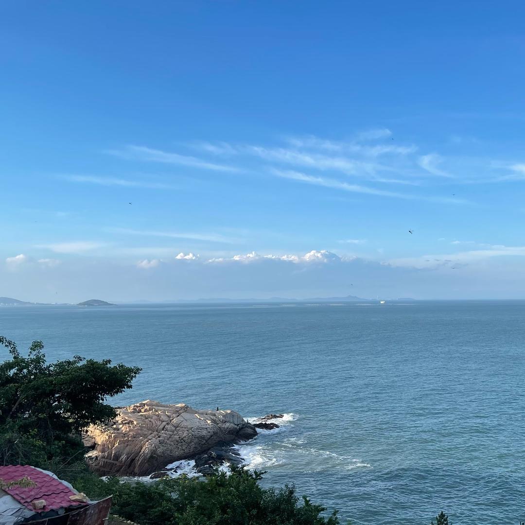 阿鱼