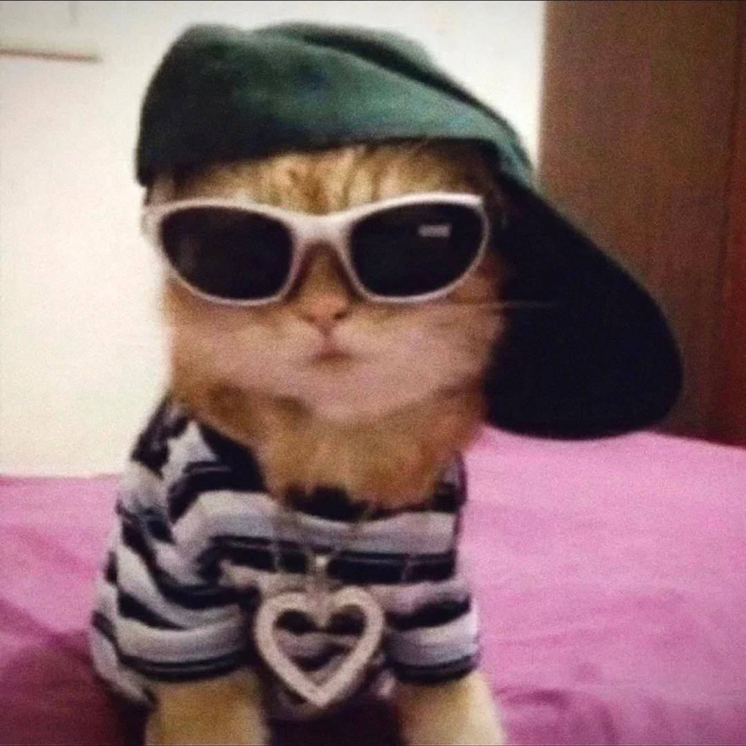 -kittyaooo