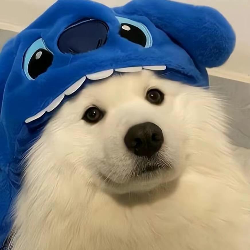 追场