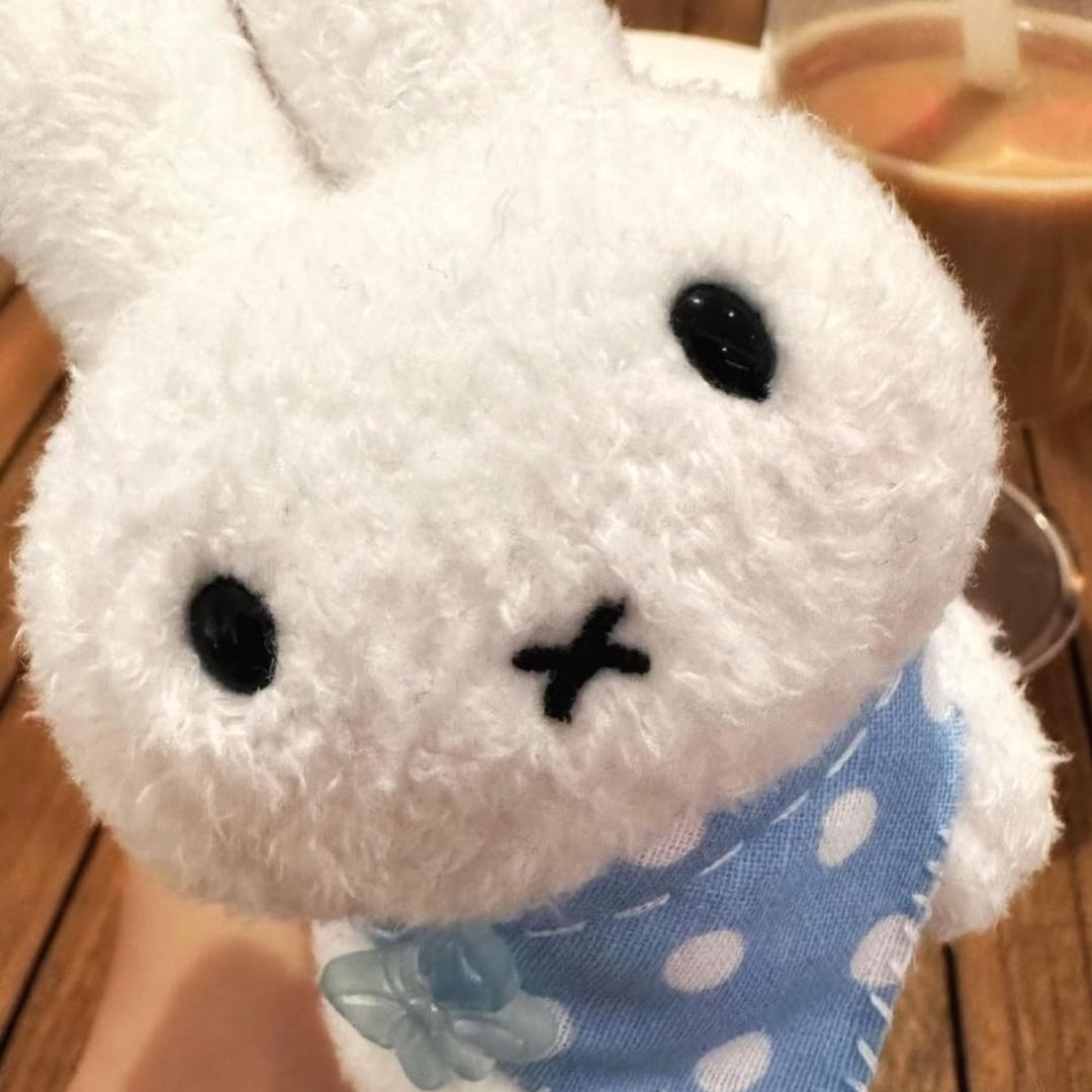 小小🐑