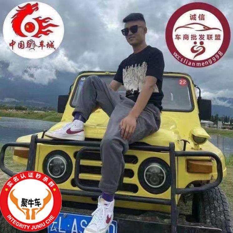 恒丰车业-绵羊-
