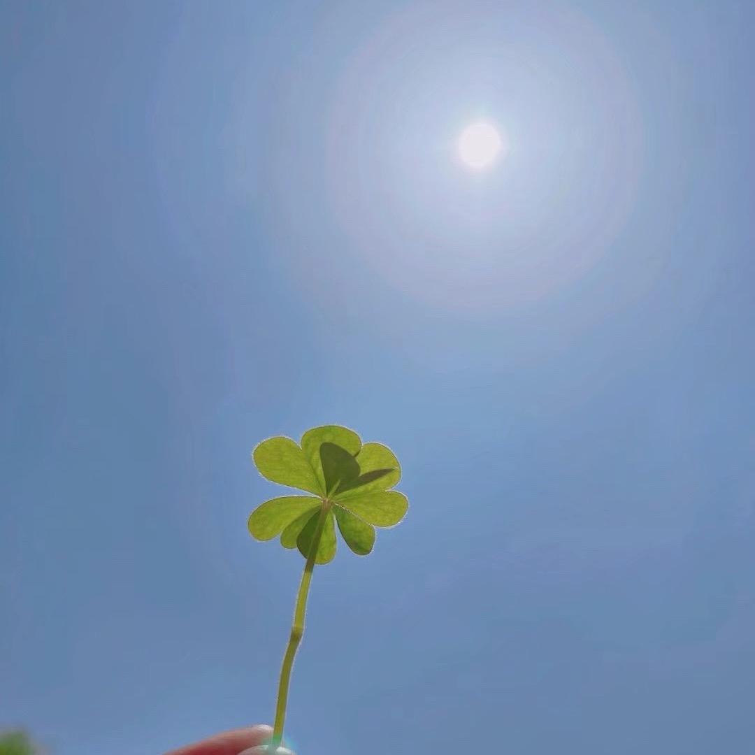 @不凌
