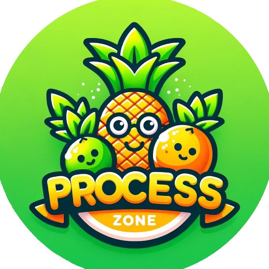 Process Zone