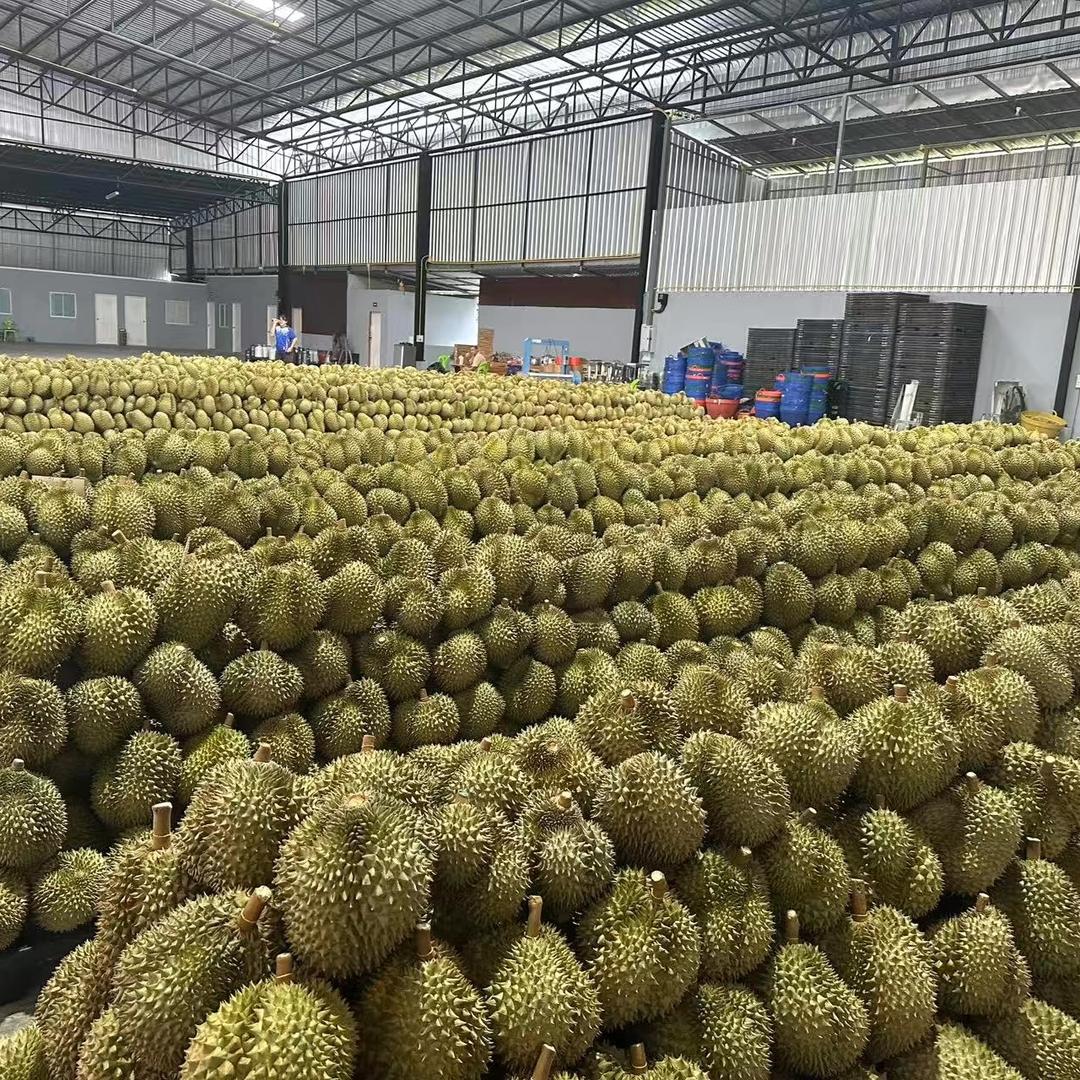 湖北机场生鲜优选