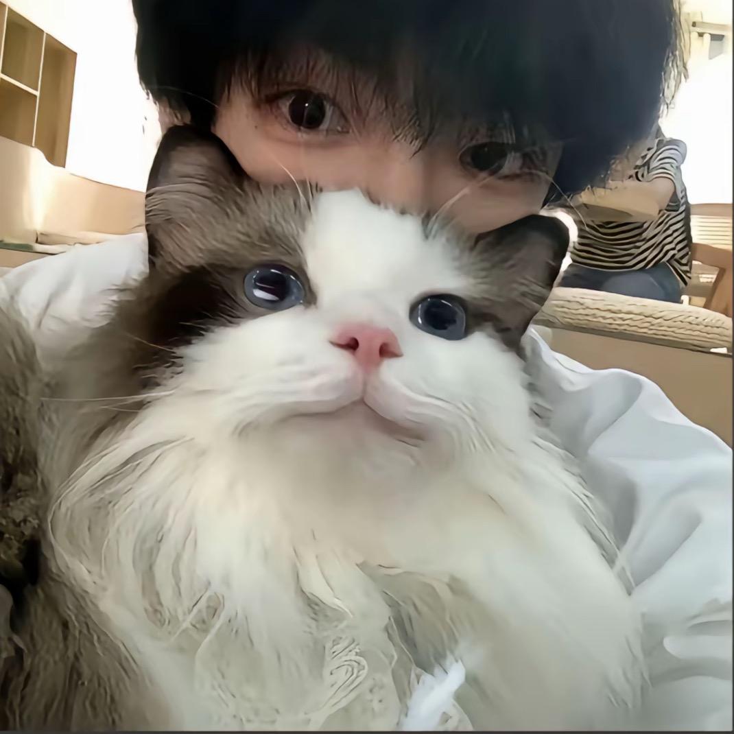 冷冰冰