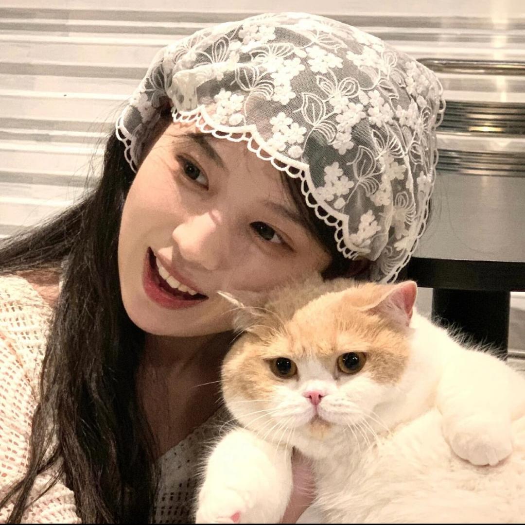 你也爱吃小白菜吗_
