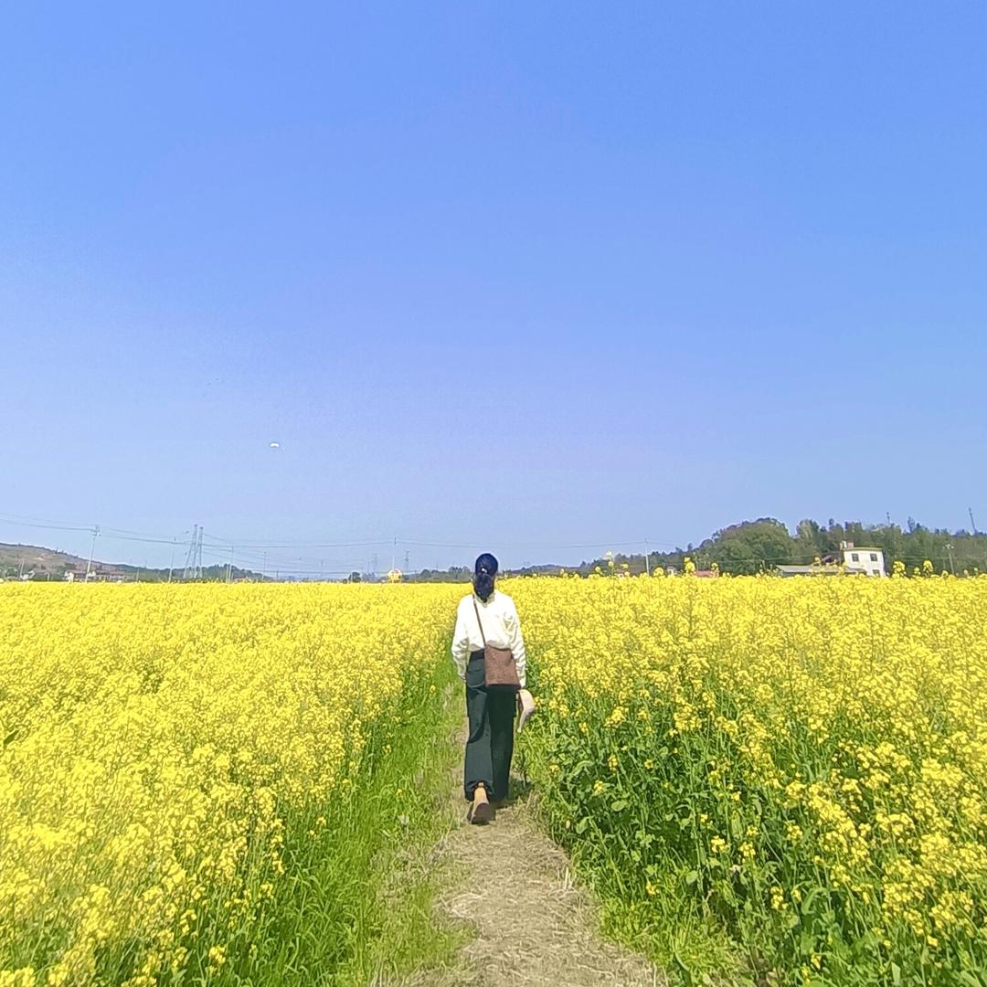 蓝精灵🧚‍♀️