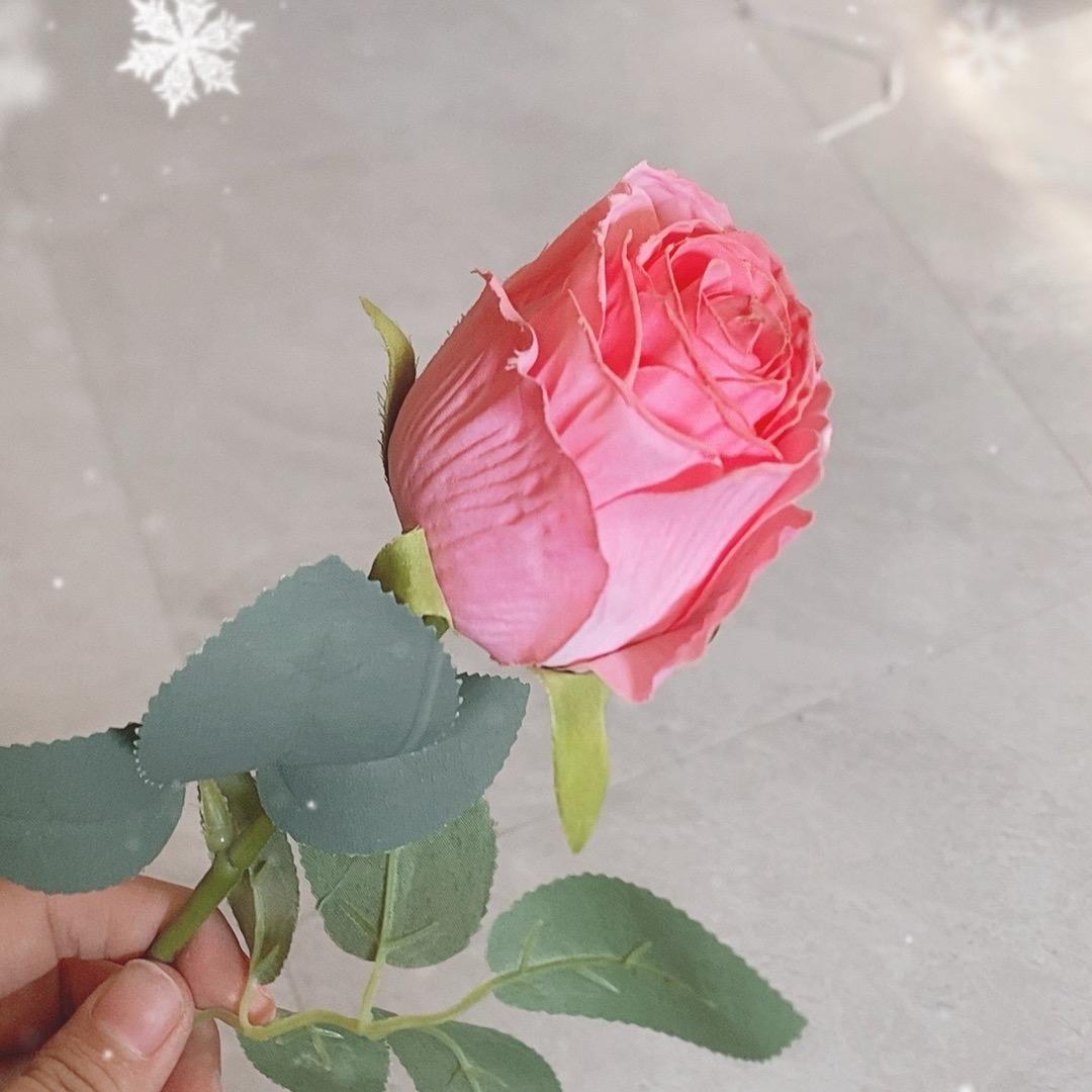 🌸好   运