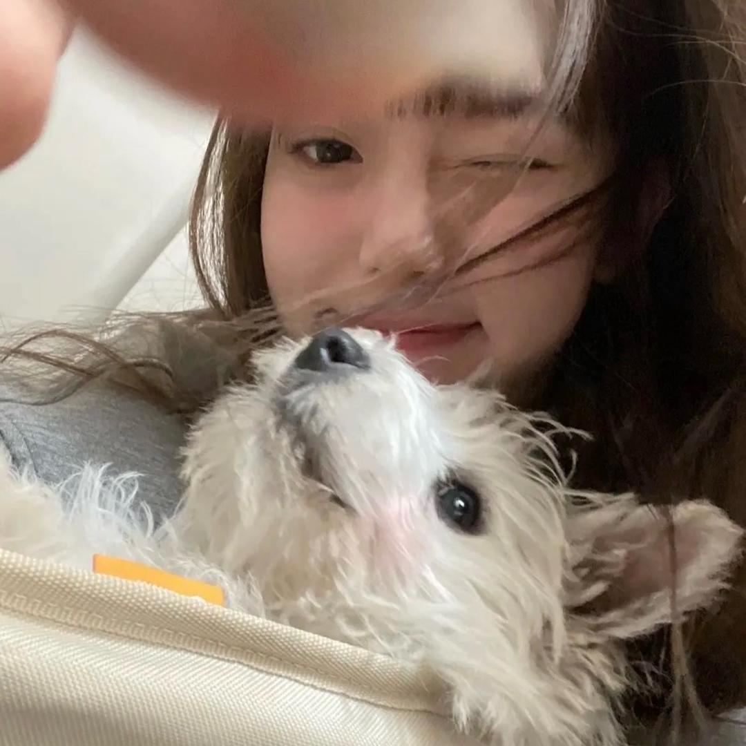 -下雨天好烦. 🐾