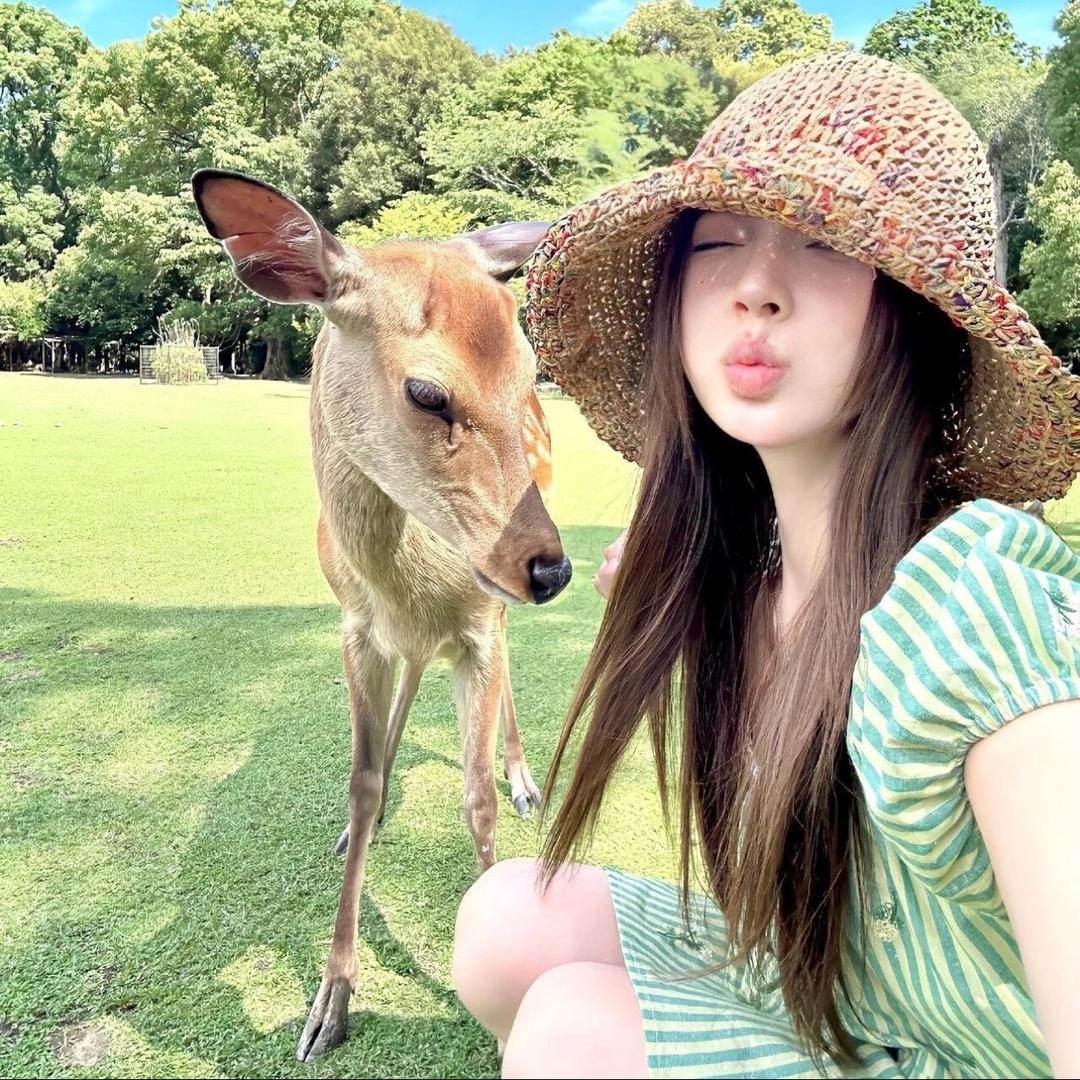 招财小铃铛 🥨