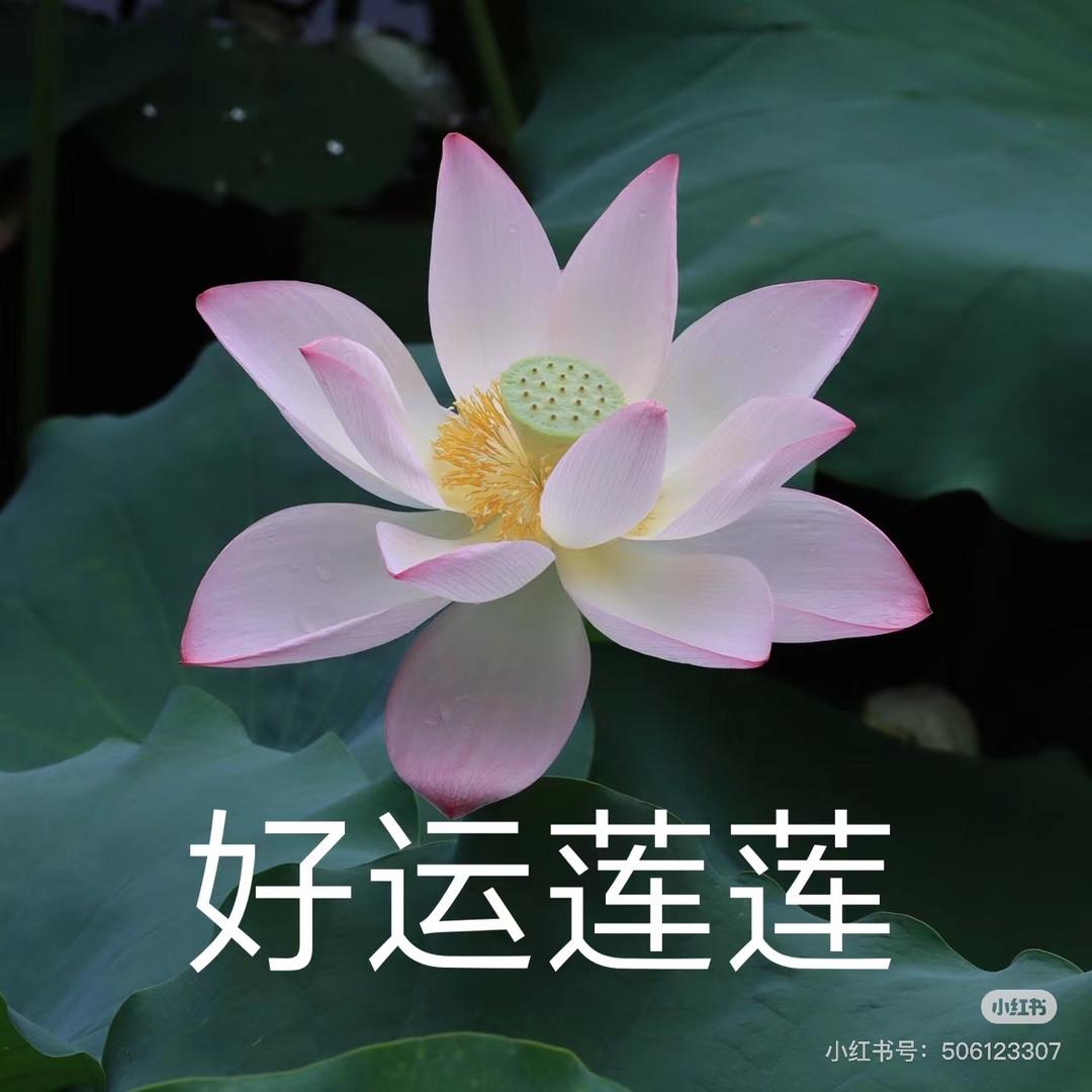 彩彩🎀