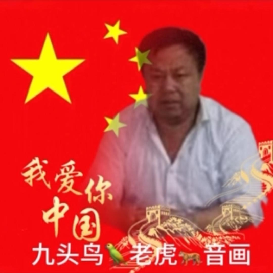 九头鸟🦜老虎🐅