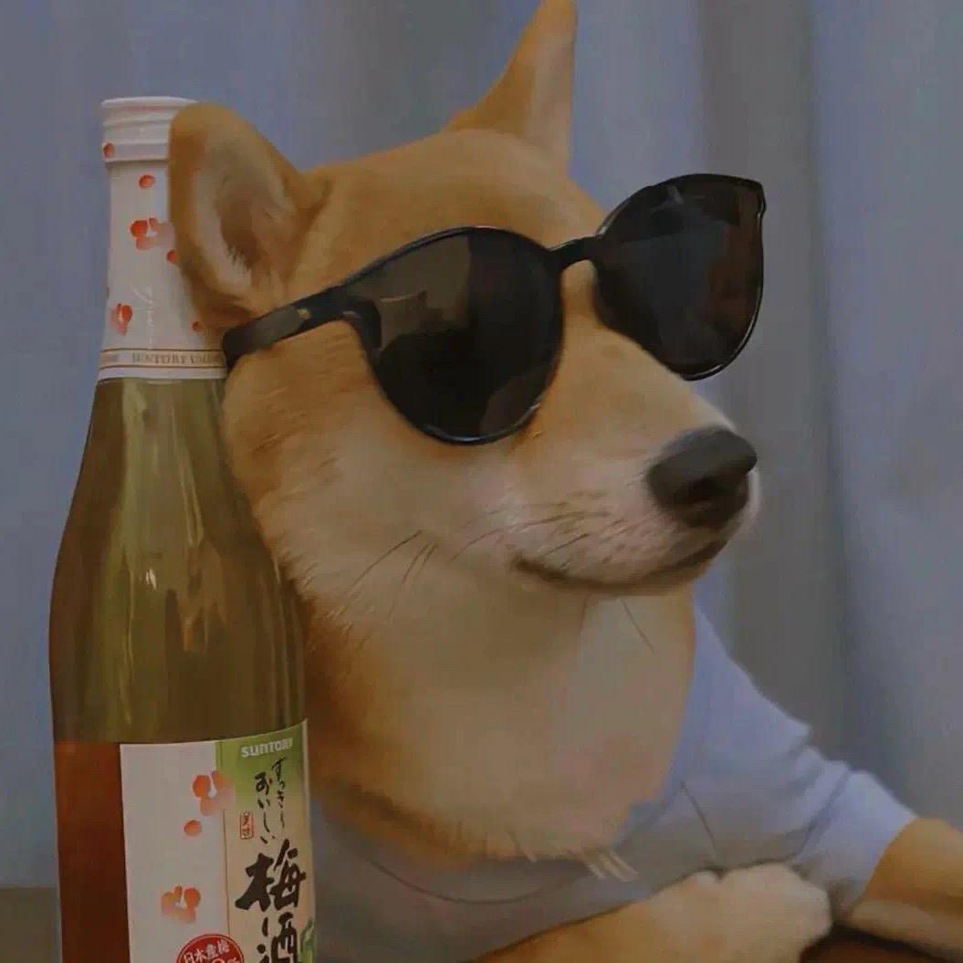 全世界最好的黄先生