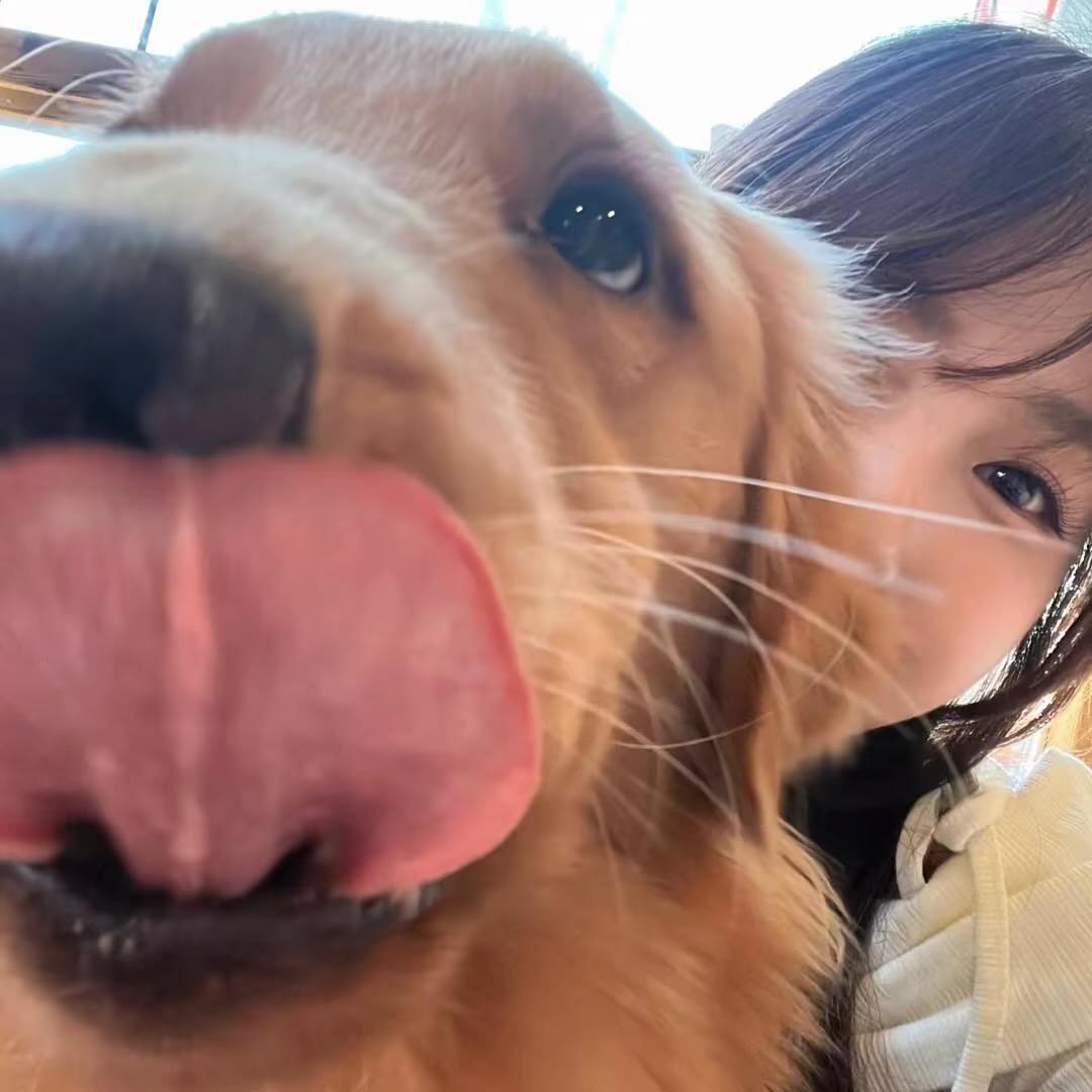 香阿菜（减肥🀄️）