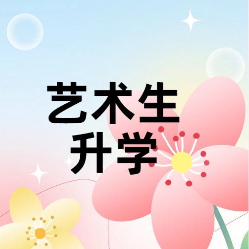 艺术生升学规划高老师