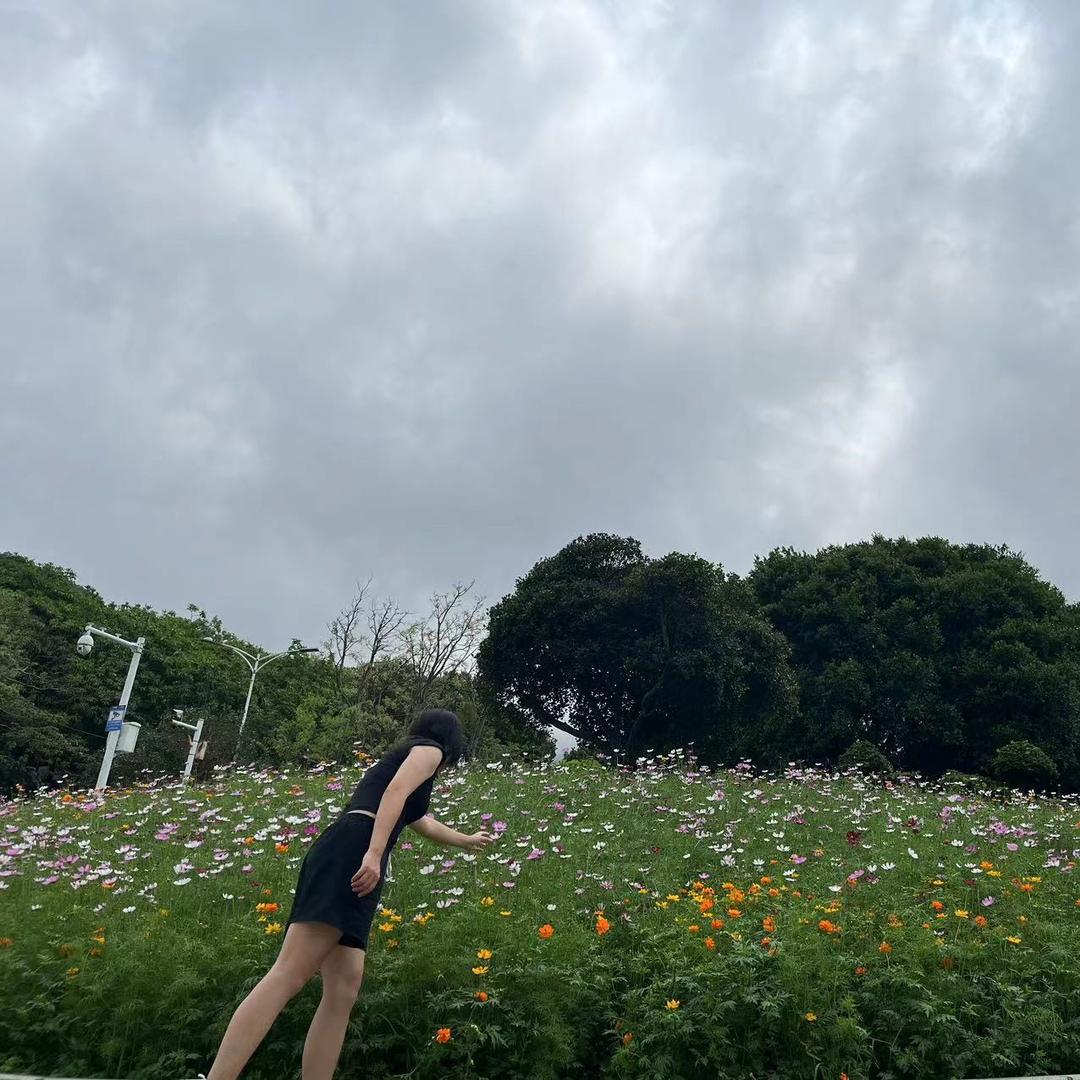 吴铁锤🔨
