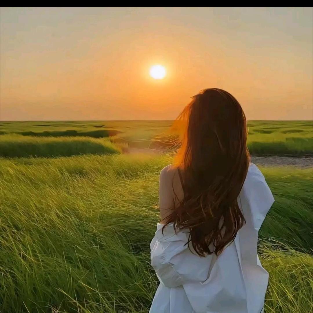 鸡毛阿姨🪶