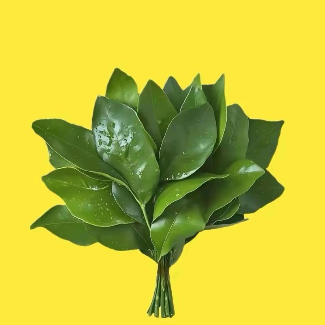 高林