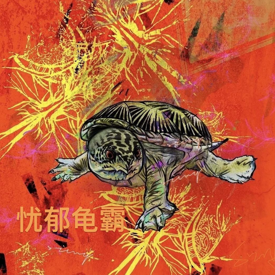 忧郁龟霸龟宠