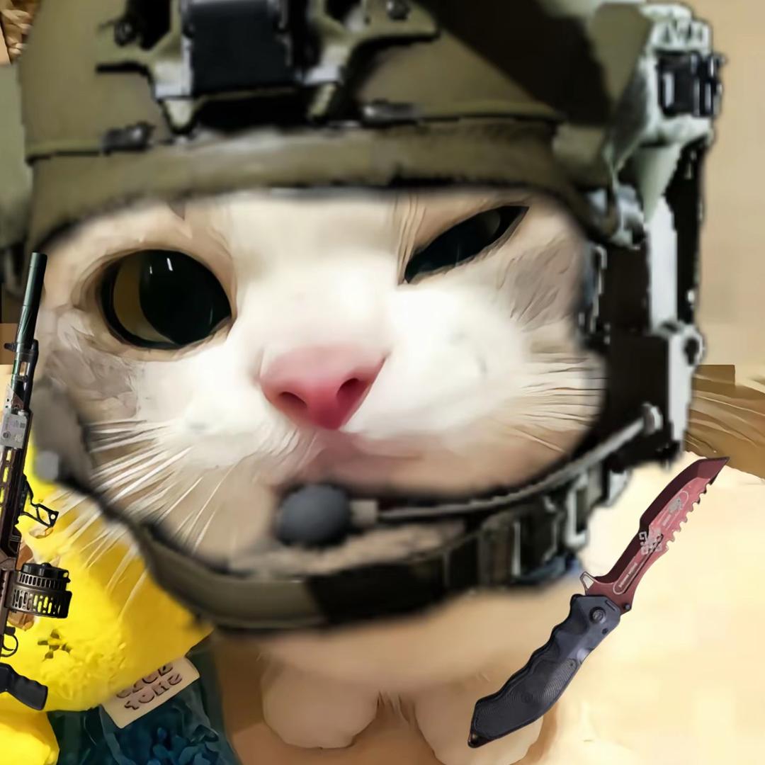 电视台帅气小老鼠