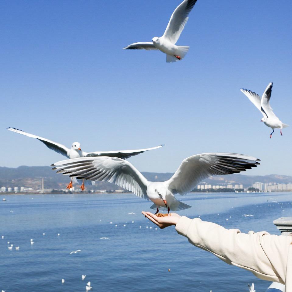 若相惜☘️卟弃