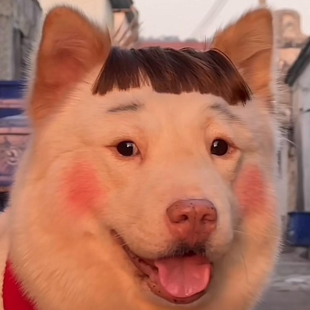 @光光