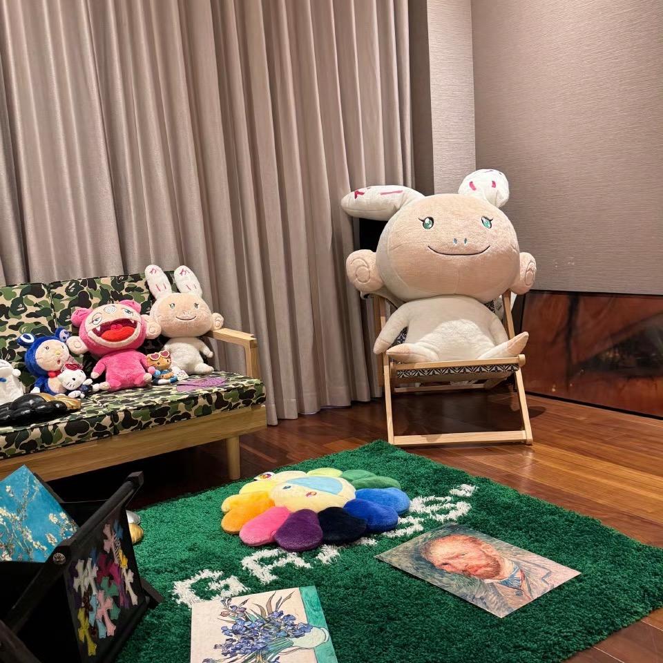 solacecarryuhome
