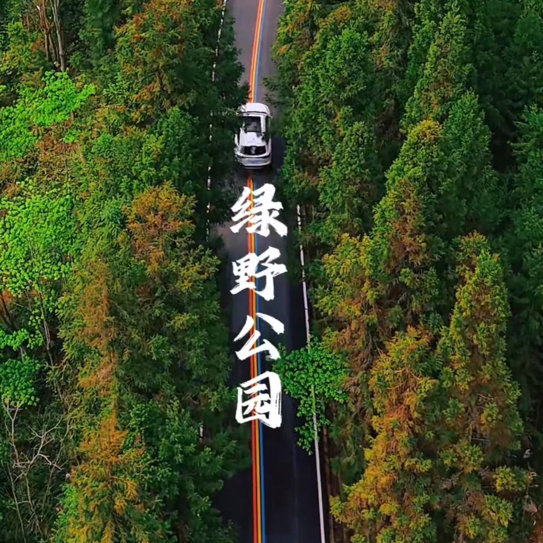 旧司绿野公园（美食公园）