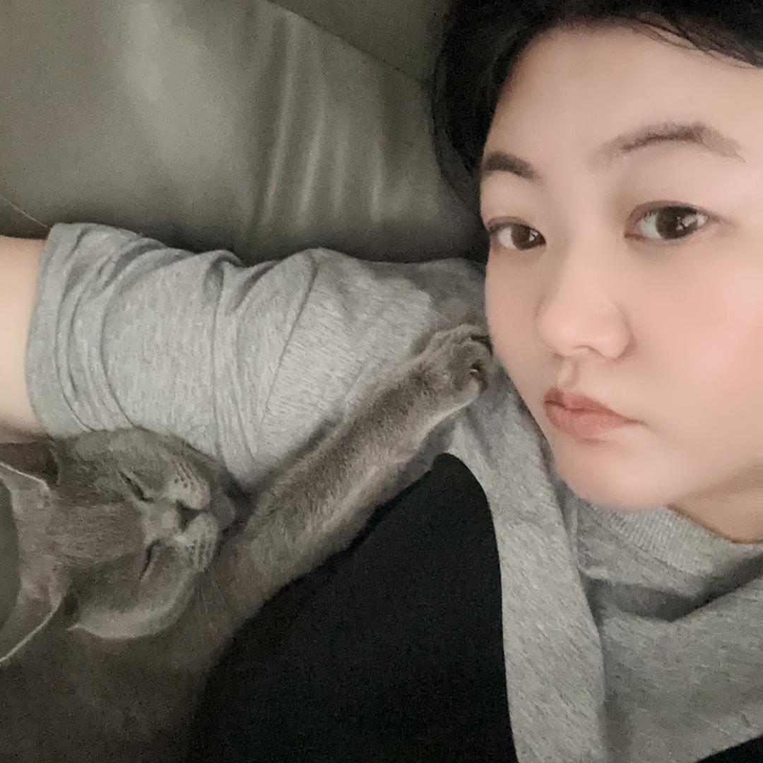 自由元宝