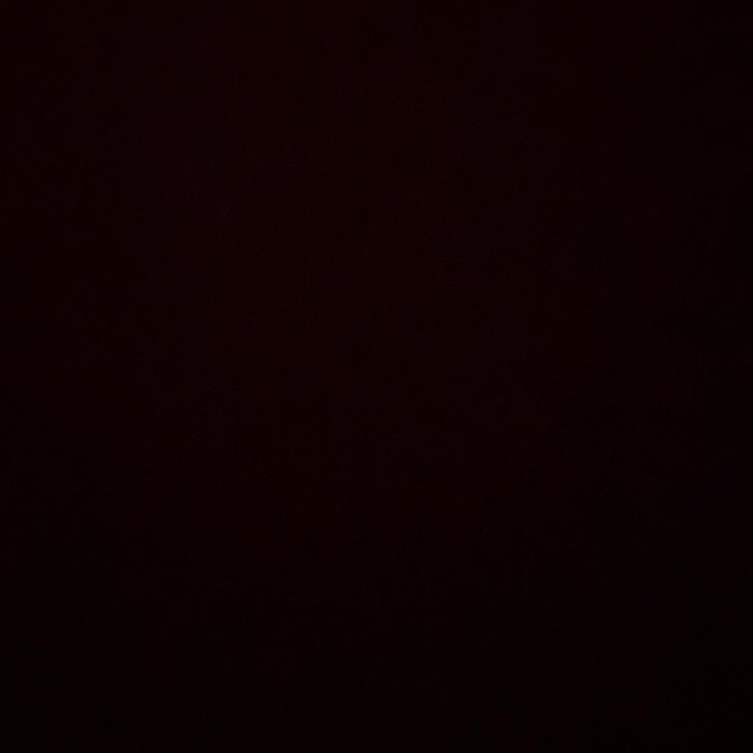 秋枫满眼皆是羽