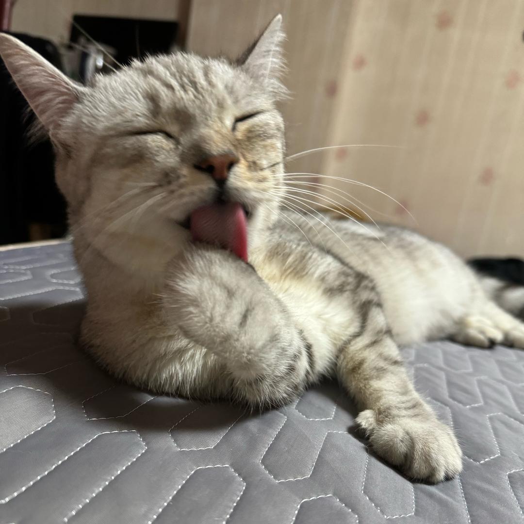 二妹爱生活^_^