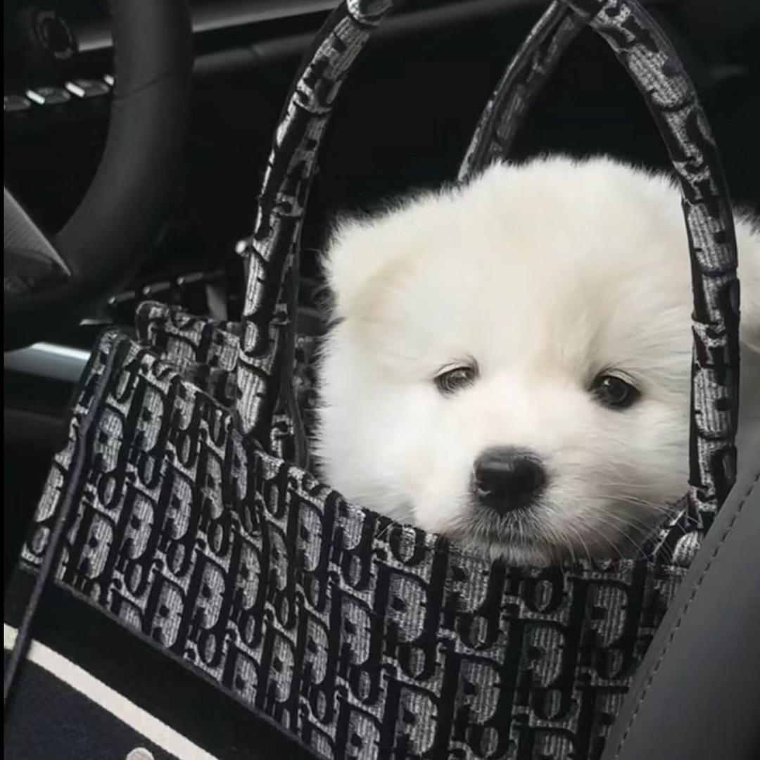 美式不加糖