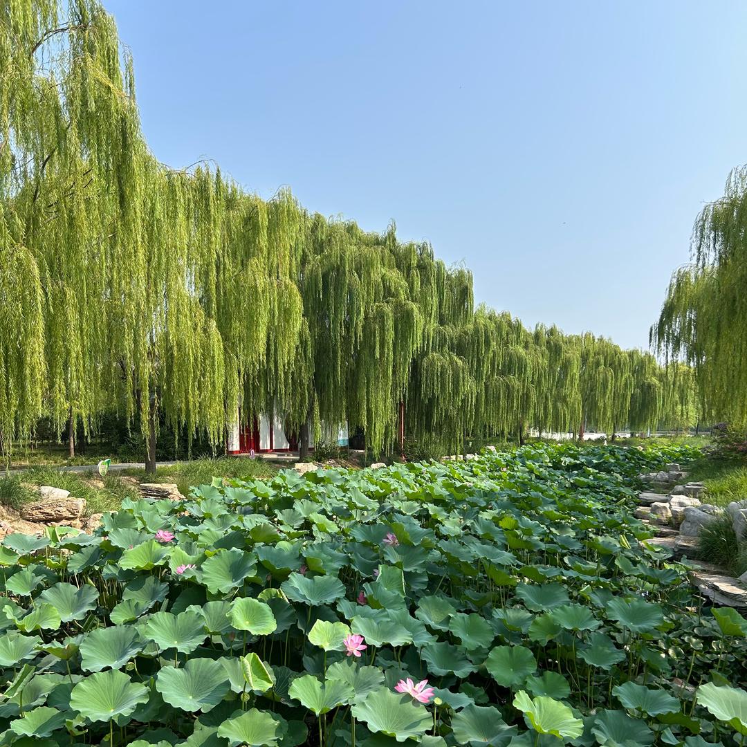 河北弘珀地坪~王强