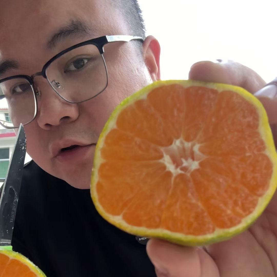 马屁哥东江湖蜜桔