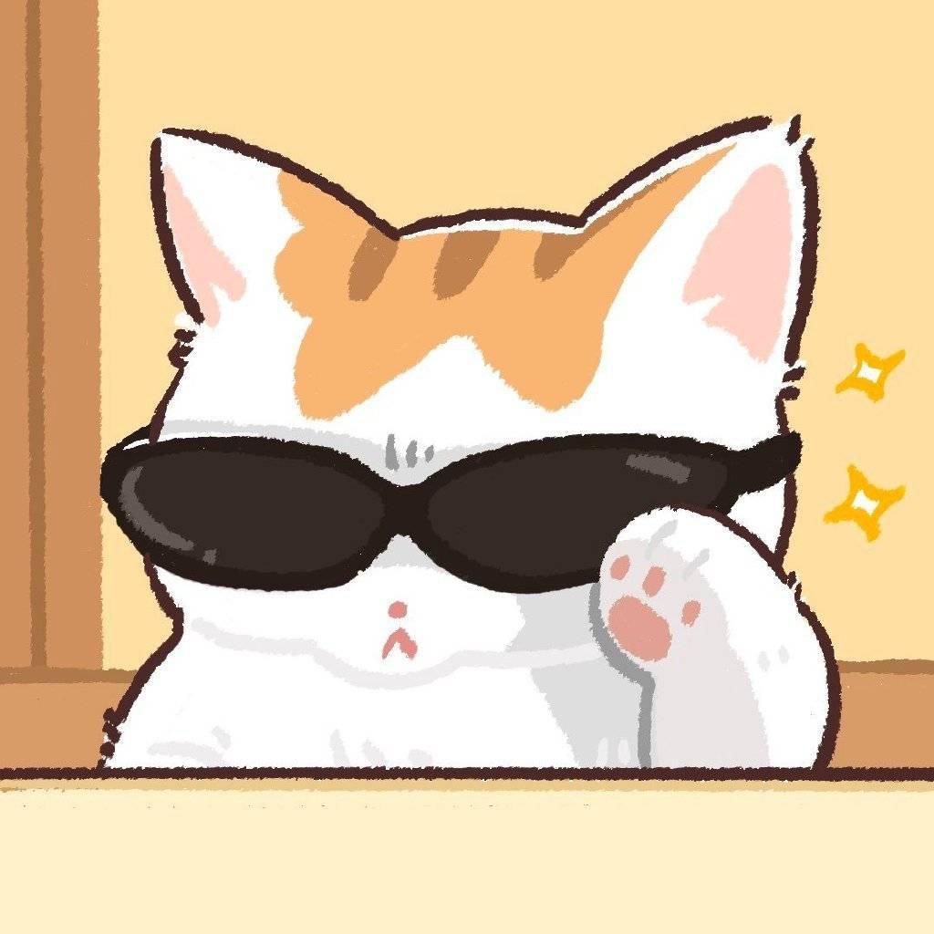 养只猫咪叫富贵