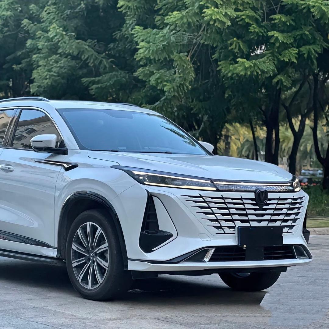 开长安的小小陈