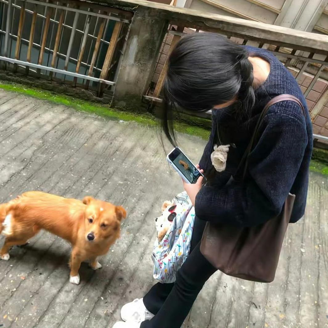 沉