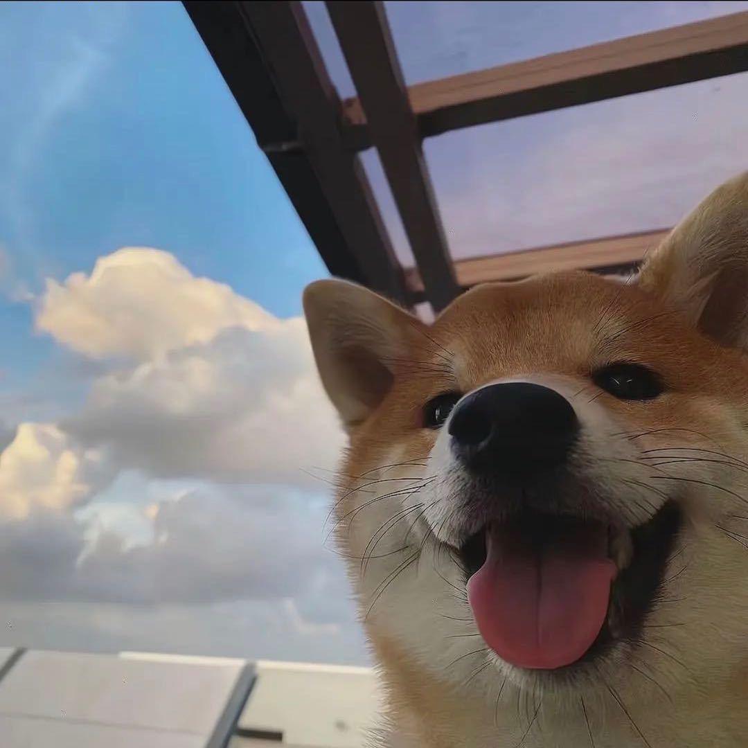繁星小浪北