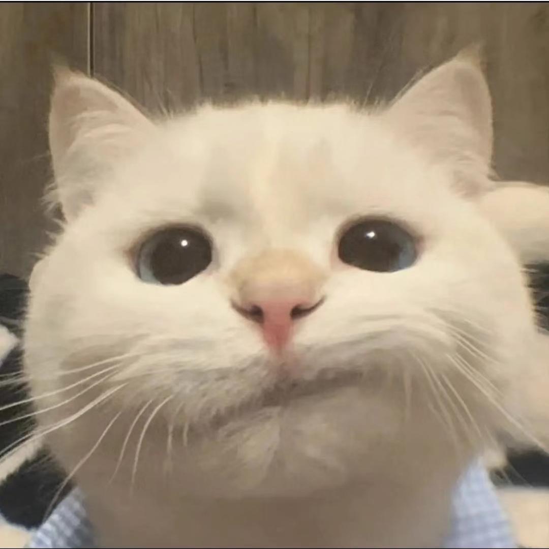 不回答既默认