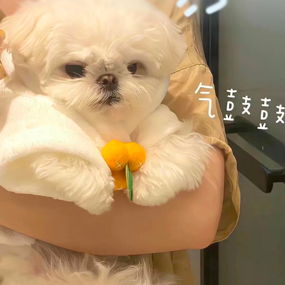 帝泊会611