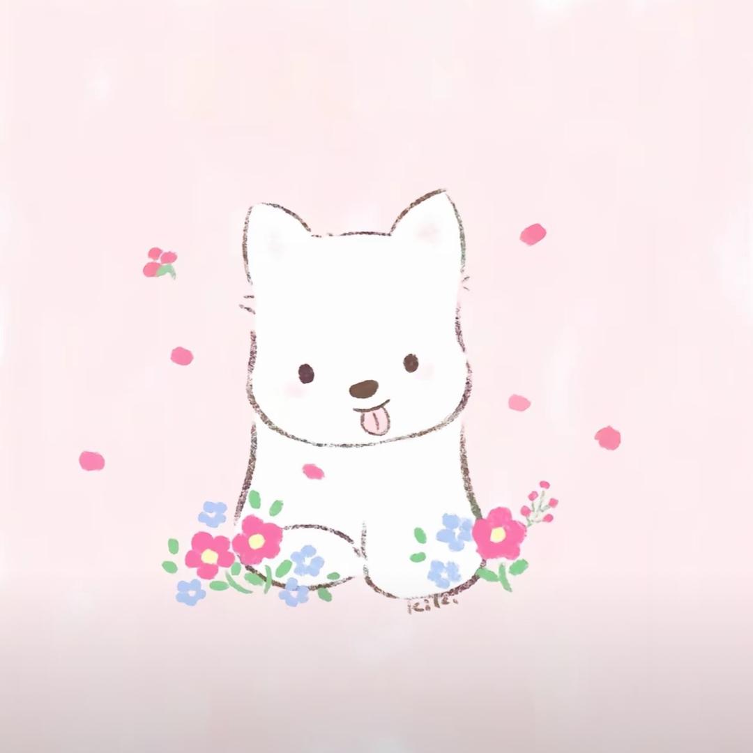 蛋蛋.